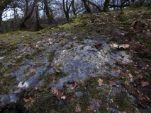 High Craigenfeoch Rock Art