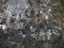 High Craigenfeoch Rock Art