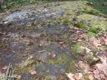 High Craigenfeoch Rock Art