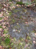High Craigenfeoch Rock Art