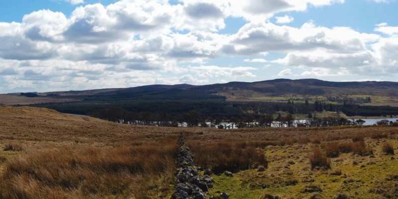 Darndaff Moor Cairn(s)