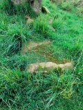 Drybridge