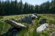 Giant's Grave (Islay) - PID:149866