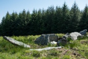 Giant's Grave (Islay) - PID:149867