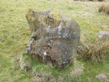 Gleniffer Braes Menhirs