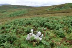 Eyre Stone Rows