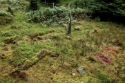 Sannaig