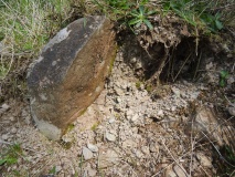 Round Hill (Cameron home farm cairn)