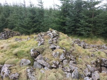 Cairnfore