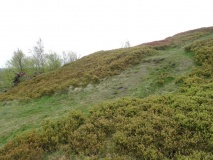 Castle Hill (Twechar)