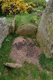 Glenvoidean