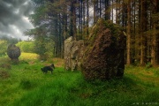 Blackpark submitted by wphotoart