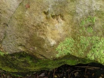 Cochno Crags