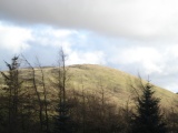 Arbory Hill - PID:52506
