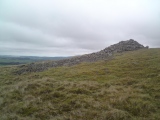 White Meldon - PID:56934