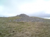 White Meldon - PID:56935