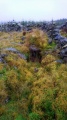 Cave Cairn (Chirmorrie) submitted by mountain3000