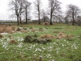 Annathill Farm submitted by Enki