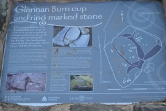 Drumfad Cup & Ring Marked Rock