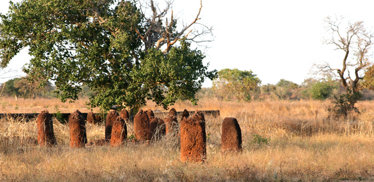 Wassu Stone Circles