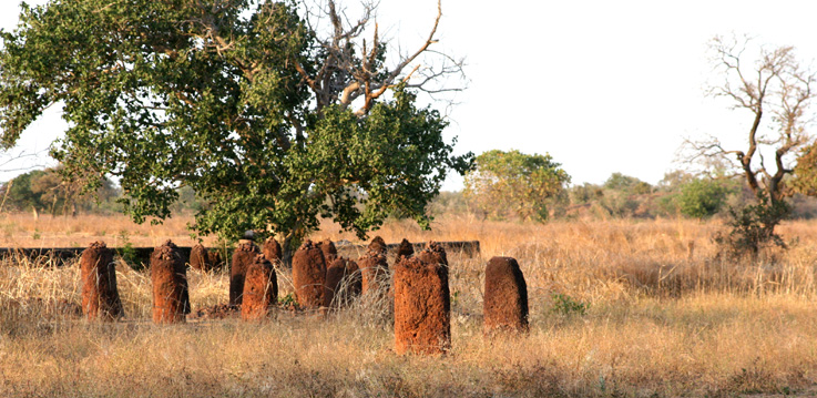 Wassu Stone Circles