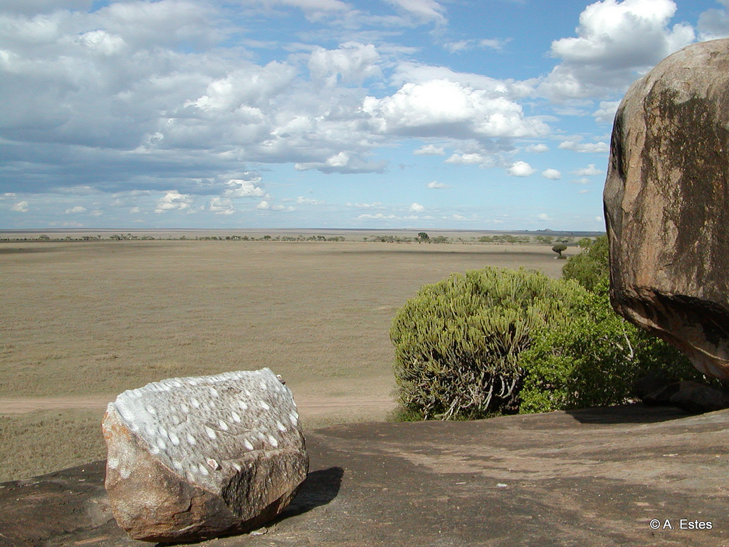 Gong Rock