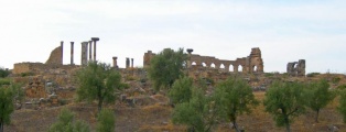Click for full size image of Volubilis (PID:35605) Volubilis