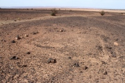 Tagounite barrow cemetery