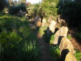 Msoura