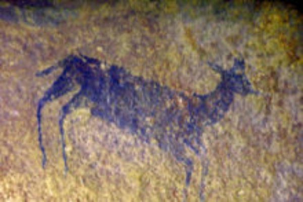 Palala River Bluffs San Rock Paintings