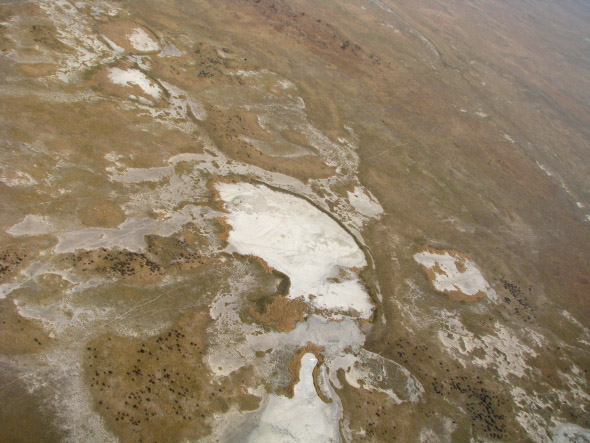 Site in Botswana: Aerial photo of a small portion of the Makgadikgadi. White blotches are large depressions topped with highly saline soils.