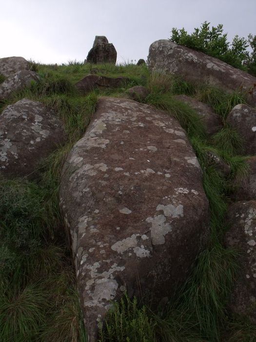 The stone Michael Tellinger claims is a statue of Horus
