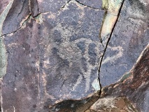 Wildebeestkuil
