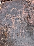 Wildebeestkuil