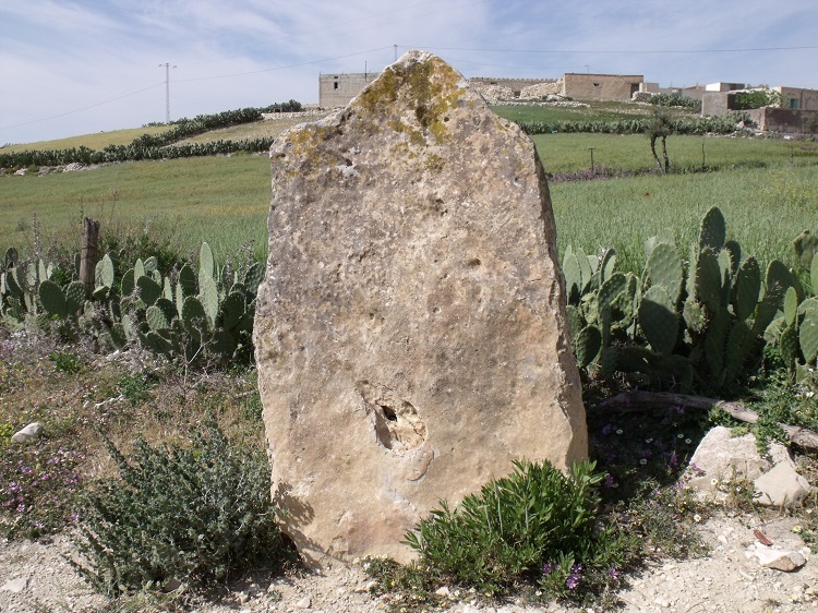 The Camel Stones