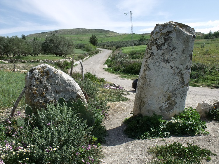 The Camel Stones