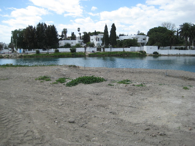 Click for the gallery page to add comments and vote (PID:37883) Carthage Punic Port