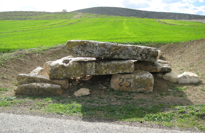 Click for the gallery page to add comments and vote (PID:37732) Eles Megalithic Tomb 25