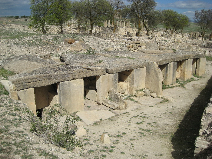Click for the gallery page to add comments and vote (PID:37607) Mactaris Numidian Tomb