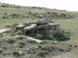 The Camel Stones