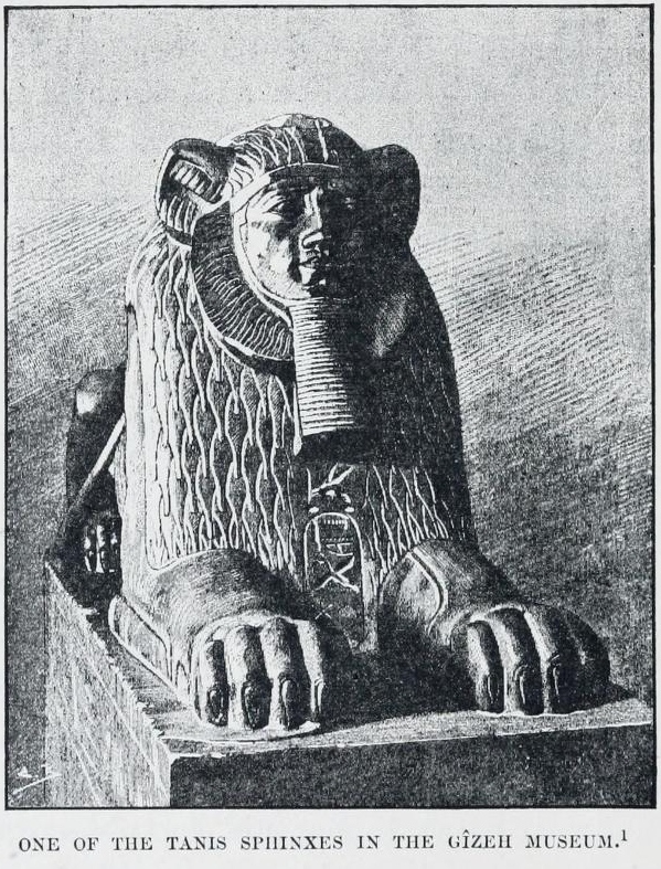 Click for full size image of Tanis (PID:101128) Tanis