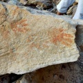 Zaranich Ras Al Zalaka rock painting - PID:222233
