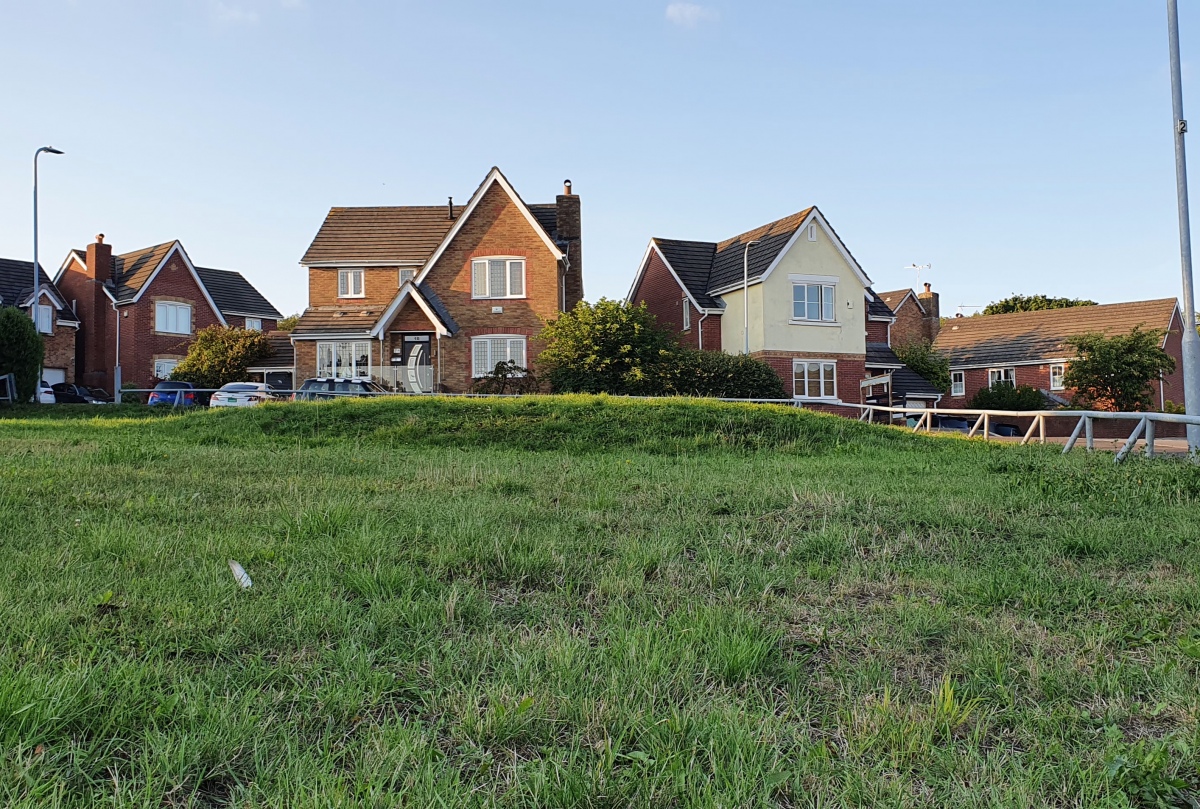 Click for the gallery page to add comments and vote (PID:260812) Pencoetre Wood Barrow