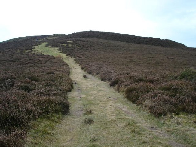 Click for the gallery page to add comments and vote (PID:78792) Moel Arthur