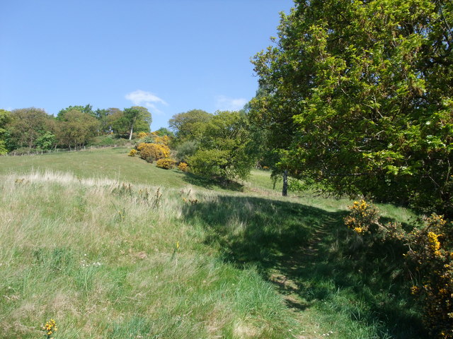 Click for the gallery page to add comments and vote (PID:81106) Moel-y-Gaer (Bodfari)