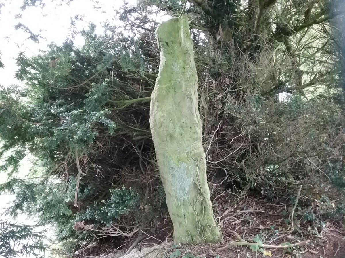 Pant y Maen Round Barrow