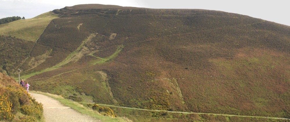 Foel Fenlli