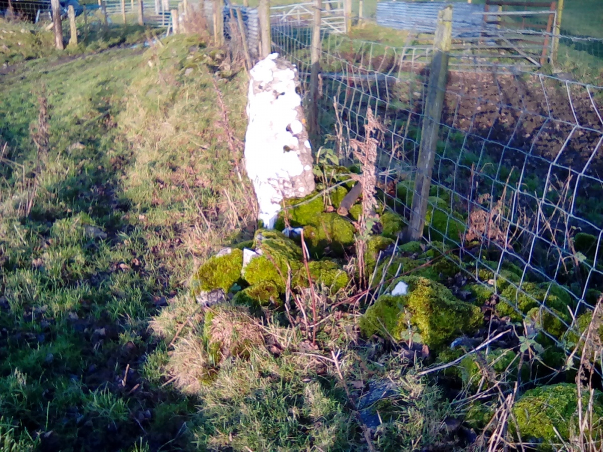 Click for the gallery page to add comments and vote (PID:220505) Tomen Y Faerdre Standing Stone