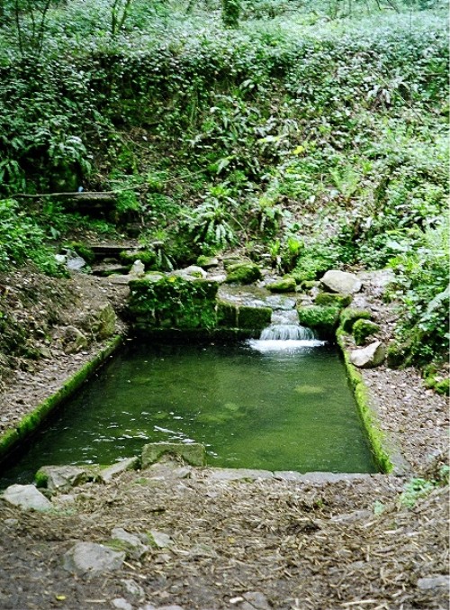 St Dyfnog's Well