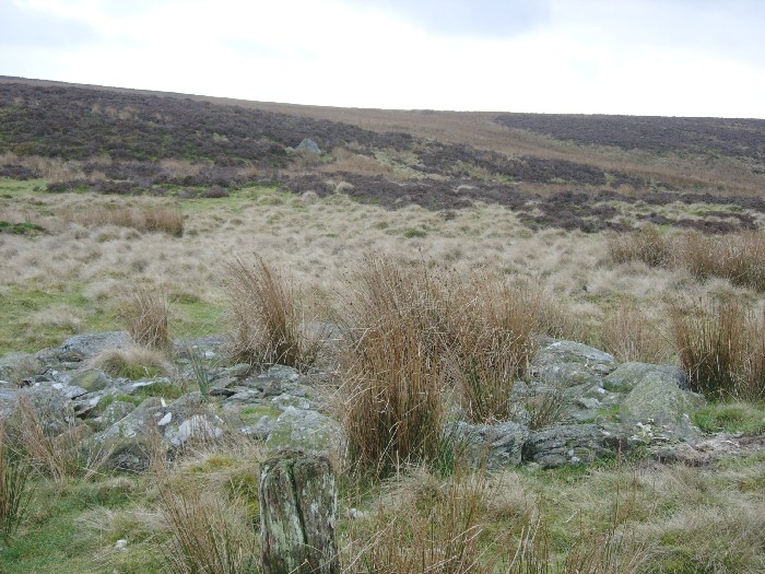 Brenig 6